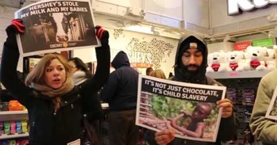 When We Eat Chocolate, We Are Eating Their Flesh!