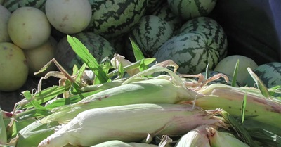 The Espanola Farmers Market