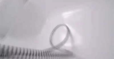 Homo Sapiens sapiens