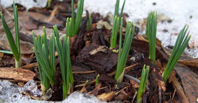 Forget the gloom—new ways of living and organizing our economy are flourishing