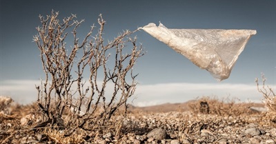 12 of The Best Environmental Photographs of 2015