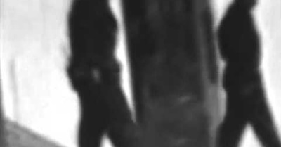 NSA Spying Never Catches Israelis?