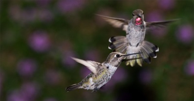 Ideal&Implementation