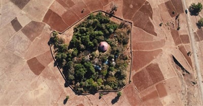The Church Forests of Ethiopia: A Mystical Geography