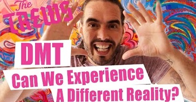 DMT - Can We Experience A Different Reality? Russell Brand The Trews (E360)