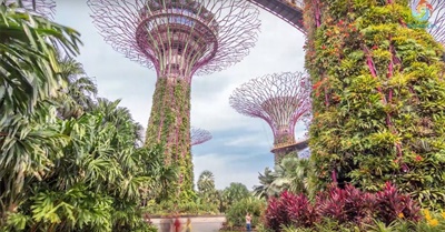 Dreaming the Future | Kenny Ausubel