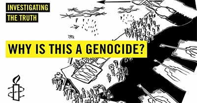 Israel's Genocide Against Palestinians in Gaza Revealed Through Evidence and Analysis
