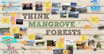 Think Mangrove Forests