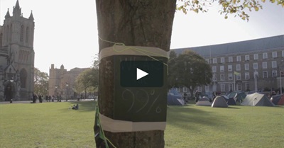 A Beginners Guide To Occupy