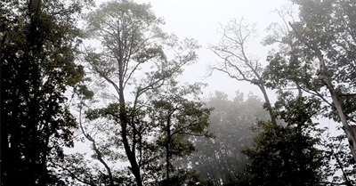 Caretakers Of The Mountain Part 1: The Blockade Sneak Peek