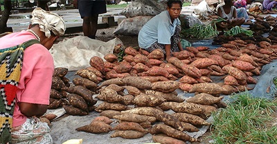 Papua New Guinea: the New Frontier for Palm Oil Production