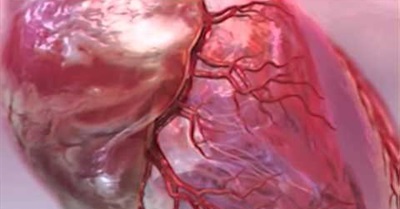 No Fly Zone on Facebook