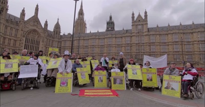 Austere: The Levy on Disability