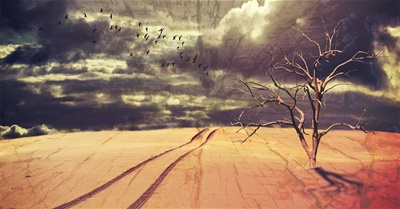 Art, Truth and Reality