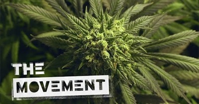 Millionaire or Felon? in America, Your Zip Code Decides