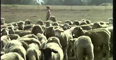 Portrait of America - Randle Farms $100,000 on 25 Acres