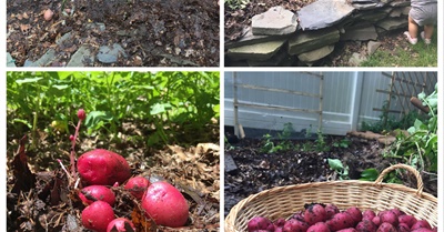 Ruth Stout’s Garden