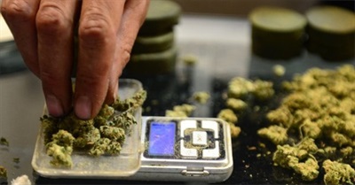 Marijuana Ingredient Can Help Heal Broken Bones, Study Says