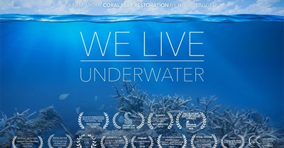 We live underwater (Biorock Coral Reef Restoration / Artificial Reef)