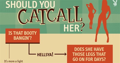 Flowchart: Should You Catcall Her?