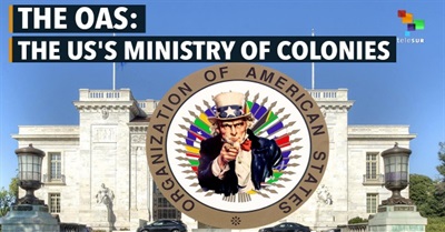 The OAS: The US's Ministry of Colonies