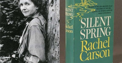 Why Aren't We Teaching Rachel Carson in Schools?