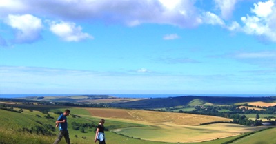 Can Love Stories Change the World?