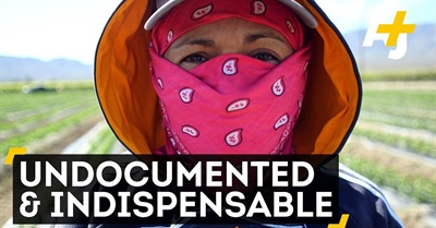 The Unheard Story Of America's Undocumented Workers